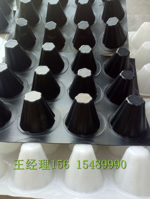 瑞金H20排水板 创鸿品质，构筑坚实防潮基石